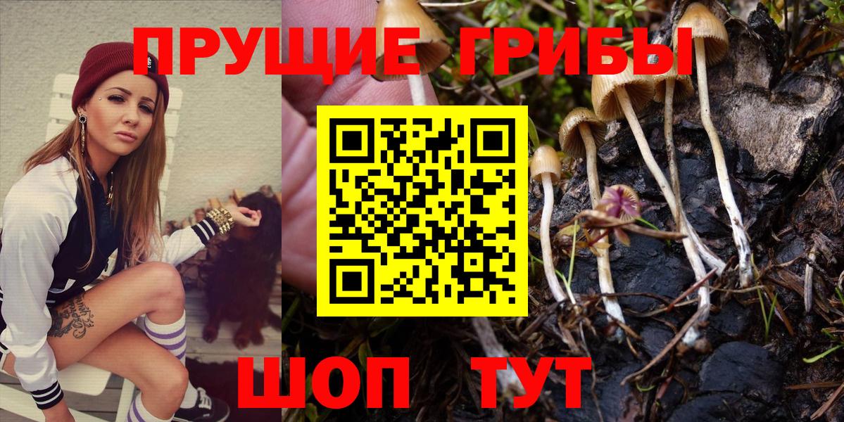 Галлюциногенные грибы мицелий  Вход с VPN  Лиски 